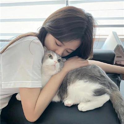 大师的菜